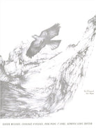 Messiaen - Catalogue D'oiseaux Vol 1 for Piano