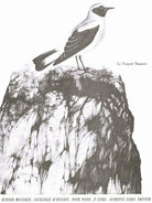 Messiaen - Catalogue D'oiseaux Vol 2 for Piano