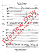 Spring Breezes for String Orchestra So2 Sc/pts