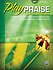 Play Praise Most Requested Bk 5 Late Intermed