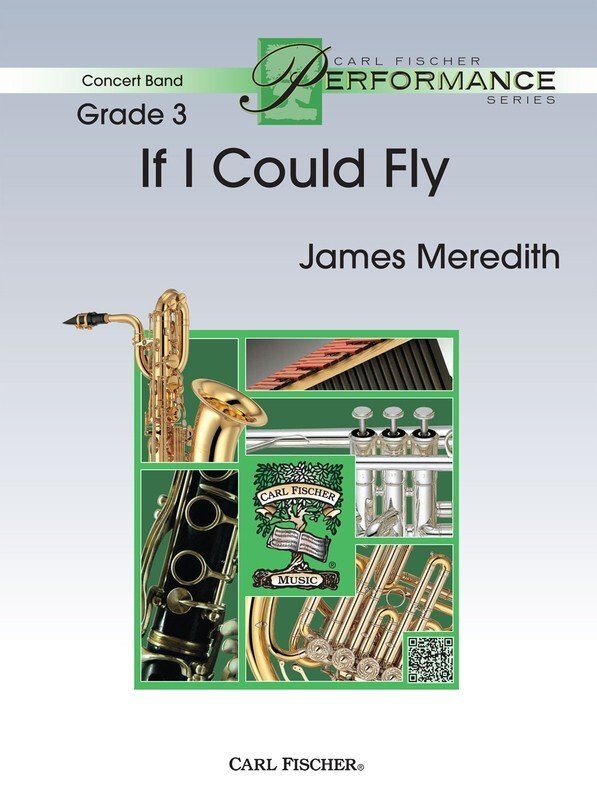 If I Could Fly Cb3 Sc/pts