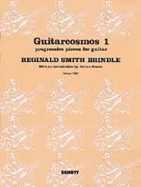 Smith Brindle - Guitarcosmos 1