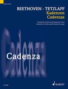 Cadenza 6 - Violin Concerto D Major Op 61 Violin and Timpani
