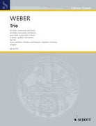 Trio G Minor Op 63 Wev P14 Fl/vc/pno