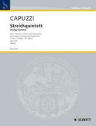 Capuzzi - String Quintet G Major 2 Violins/2 Violas/cello