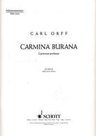 Orff - Carmina Burana Mens Chorus Tb