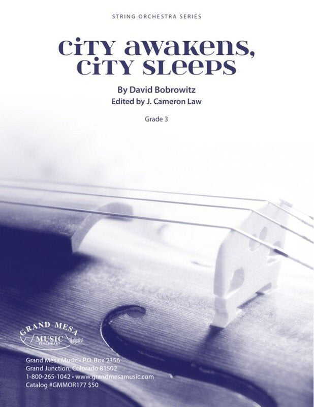 City Awakens City Sleeps for String Orchestra So3 Sc/pts