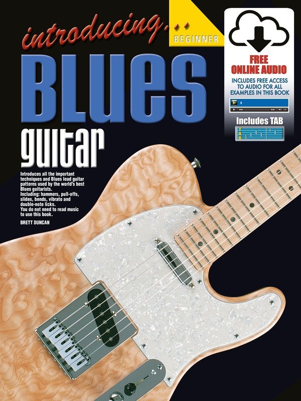 Introducing Blues Guitar Bk/ola