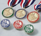 Standard of Excellence Bk 1 Award Medal